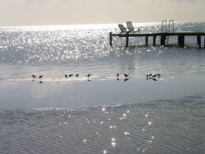 Caye Caulker. Beach. Caye Caulker. .