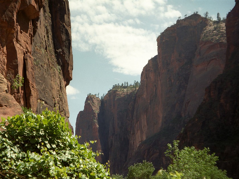 Zion National Park. Canyon. Zion National Park. .