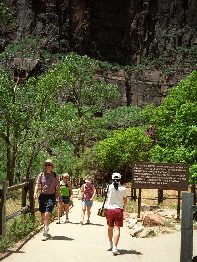 Zion National Park. Canyon. Zion National Park. .