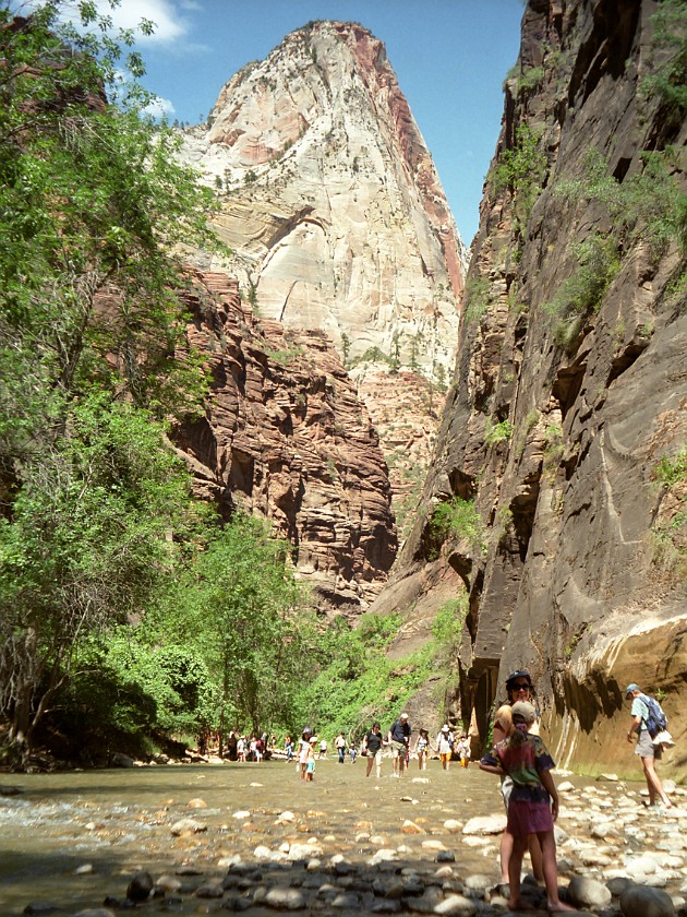 Zion National Park. Canyon. Zion National Park. .