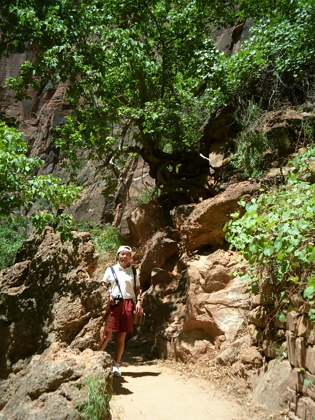 Zion National Park. Canyon. Zion National Park. .