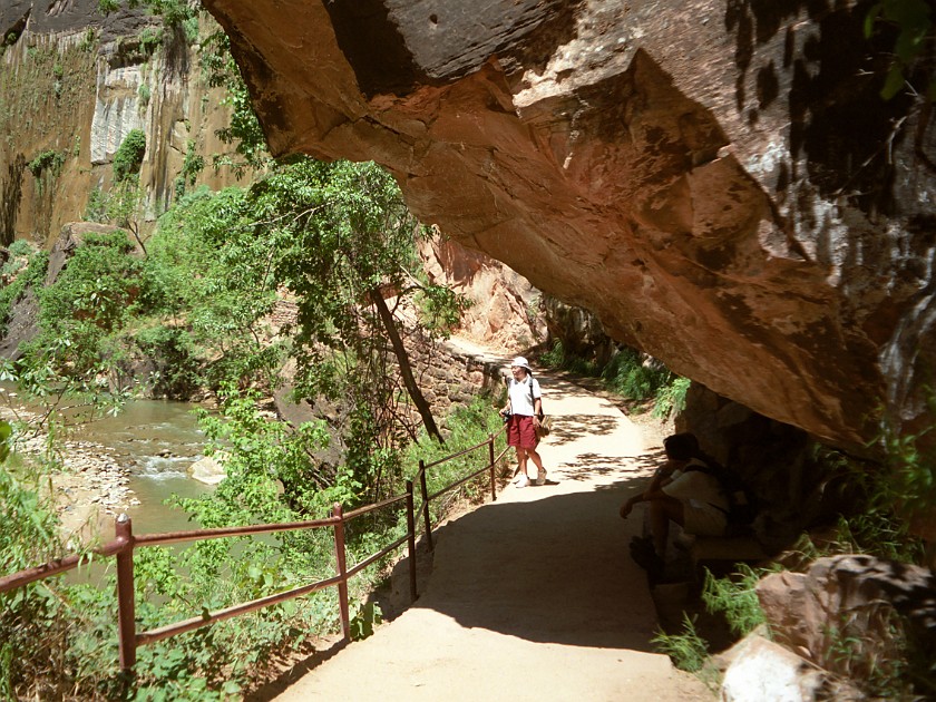 Zion National Park. Trail. Zion National Park. .