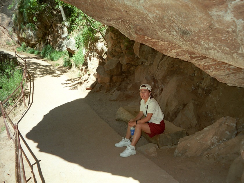 Zion National Park. Trail. Zion National Park. .