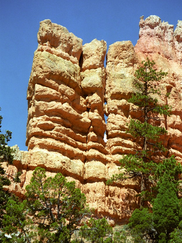 Bryce Canyon National Park. Hoodoos. Bryce Canyon National Park. .
