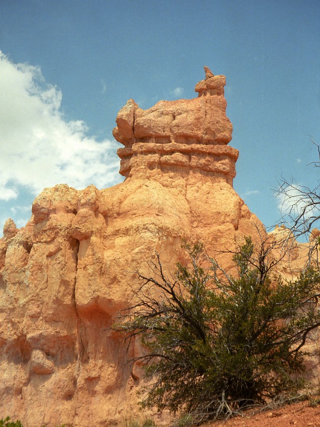 Bryce Canyon National Park. Hoodoos. Bryce Canyon National Park. .
