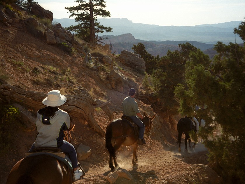 Bryce Canyon National Park. Horseback Ride Into the Canyon. Bryce Canyon National Park. .