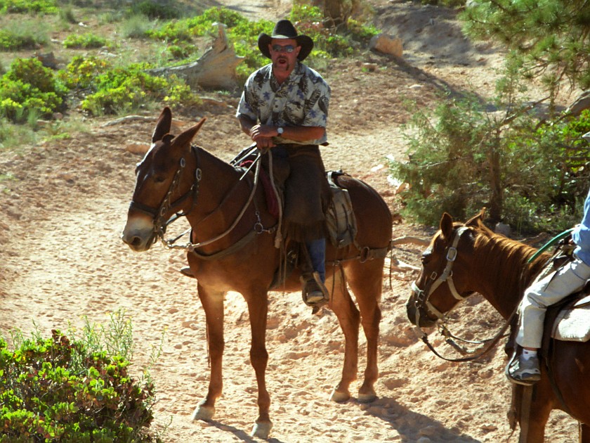 Bryce Canyon National Park. Horseback Ride Into the Canyon. Bryce Canyon National Park. .
