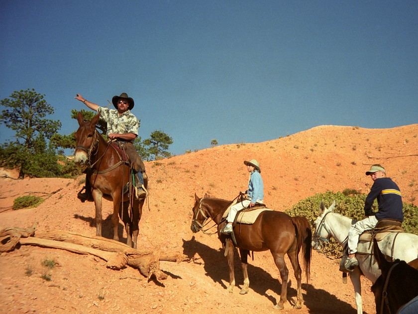 Bryce Canyon National Park. Horseback Ride Into the Canyon. Bryce Canyon National Park. .