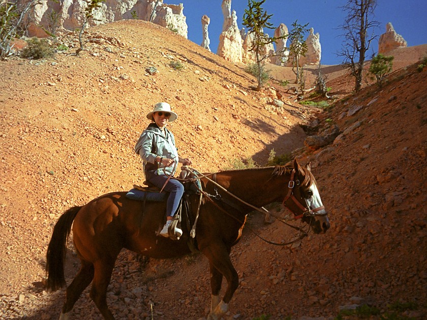 Bryce Canyon National Park. Horseback Ride Into the Canyon. Bryce Canyon National Park. .