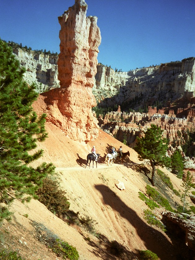 Bryce Canyon National Park. Horseback Ride Into the Canyon. Bryce Canyon National Park. .
