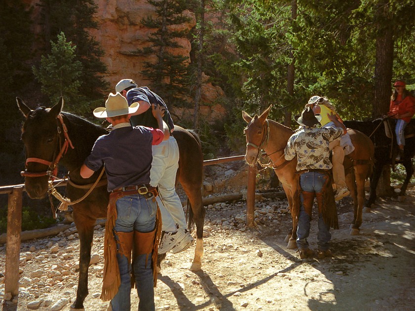 Bryce Canyon National Park. Horseback Ride Into the Canyon. Bryce Canyon National Park. .