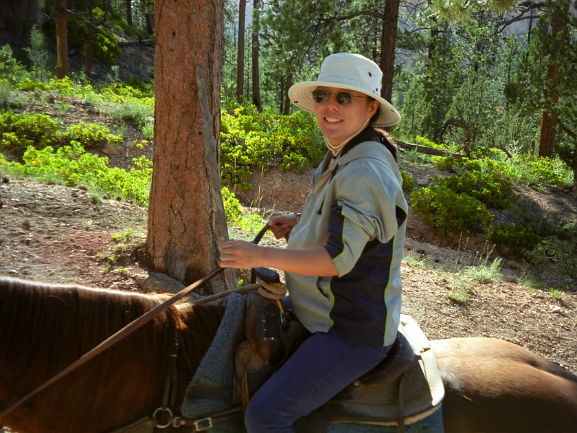 Bryce Canyon National Park. Horseback Ride Into the Canyon. Bryce Canyon National Park. .