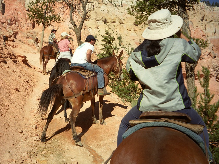 Bryce Canyon National Park. Horseback Ride Into the Canyon. Bryce Canyon National Park. .