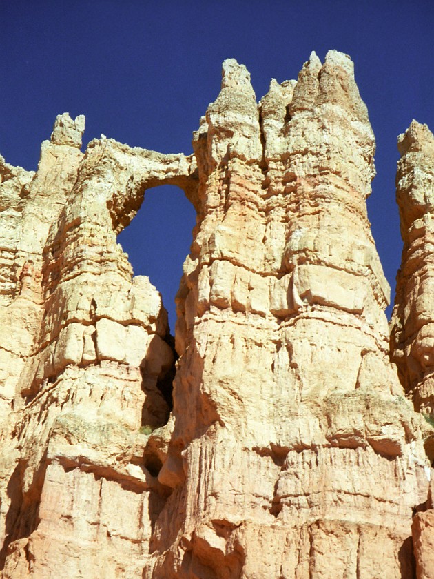 Bryce Canyon National Park. Horseback Ride Into the Canyon. Bryce Canyon National Park. .