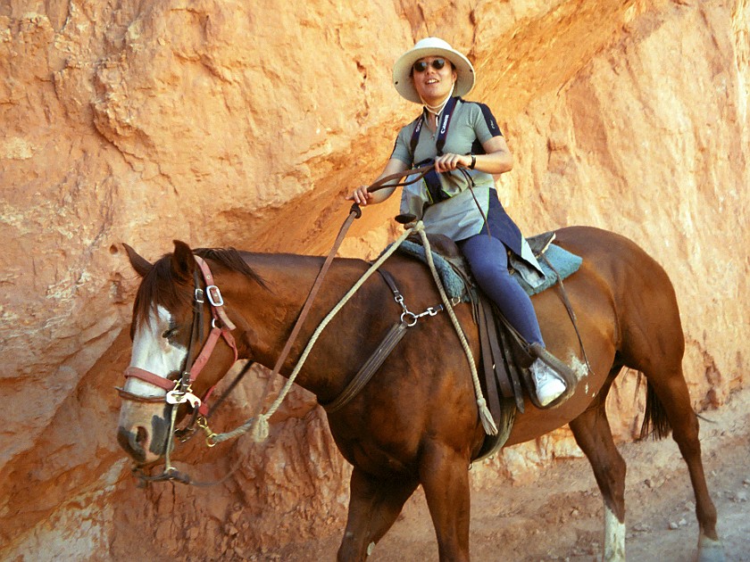 Bryce Canyon National Park. Horseback Ride Into the Canyon. Bryce Canyon National Park. .
