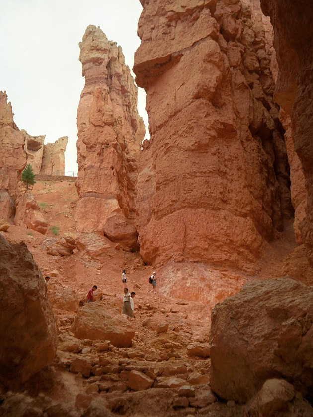 Bryce Canyon National Park. Into the Hoodoo Maze. Bryce Canyon National Park. .