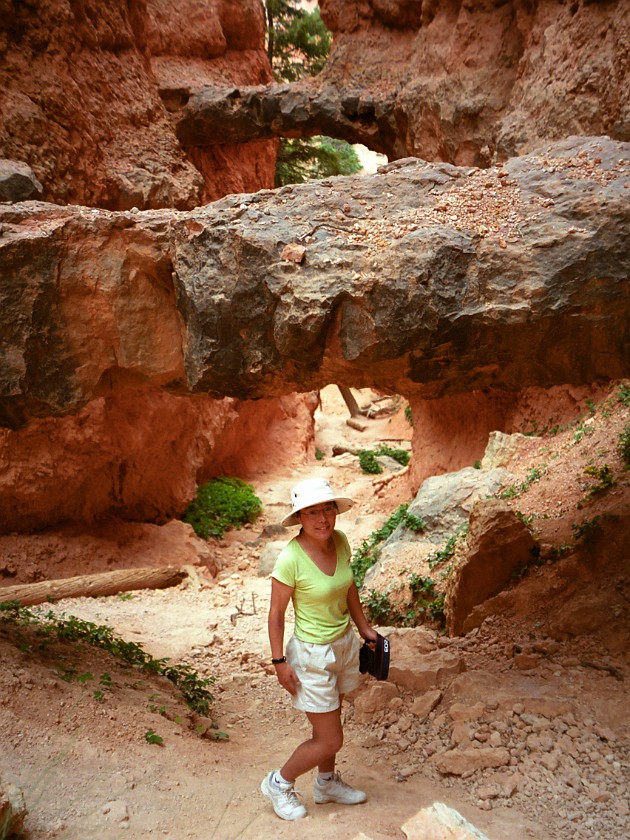 Bryce Canyon National Park. Into the Hoodoo Maze. Bryce Canyon National Park. .