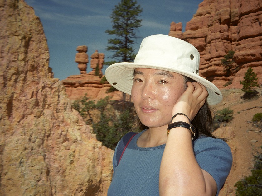 Bryce Canyon National Park. Portrait. Bryce Canyon National Park. .