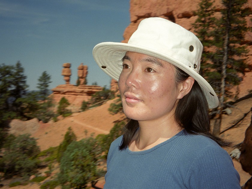 Bryce Canyon National Park. Portrait. Bryce Canyon National Park. .