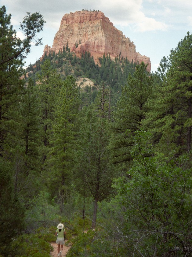 Bryce Canyon National Park. Back Area. Bryce Canyon National Park. .
