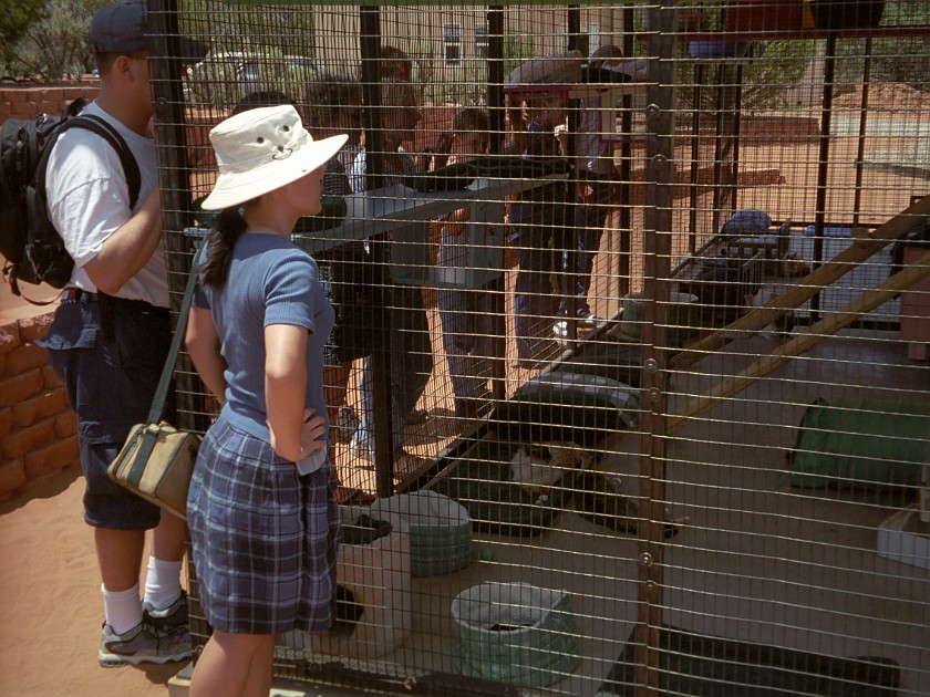 Best Friends Animal Sanctuary. Cat Shelters. near Kanab. .