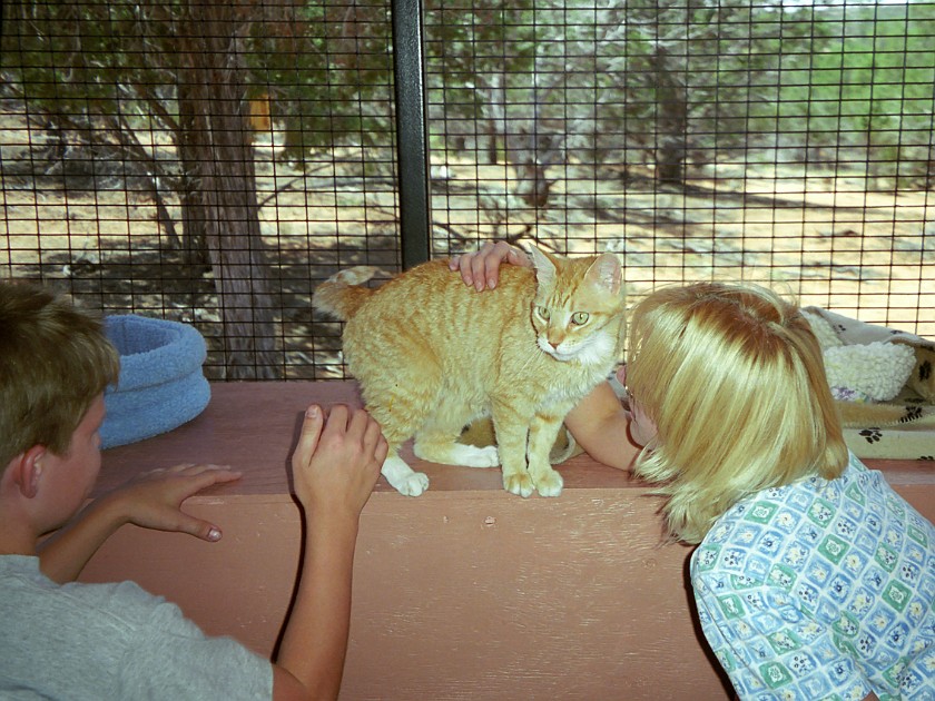 Best Friends Animal Sanctuary. Cat Shelters. near Kanab. .