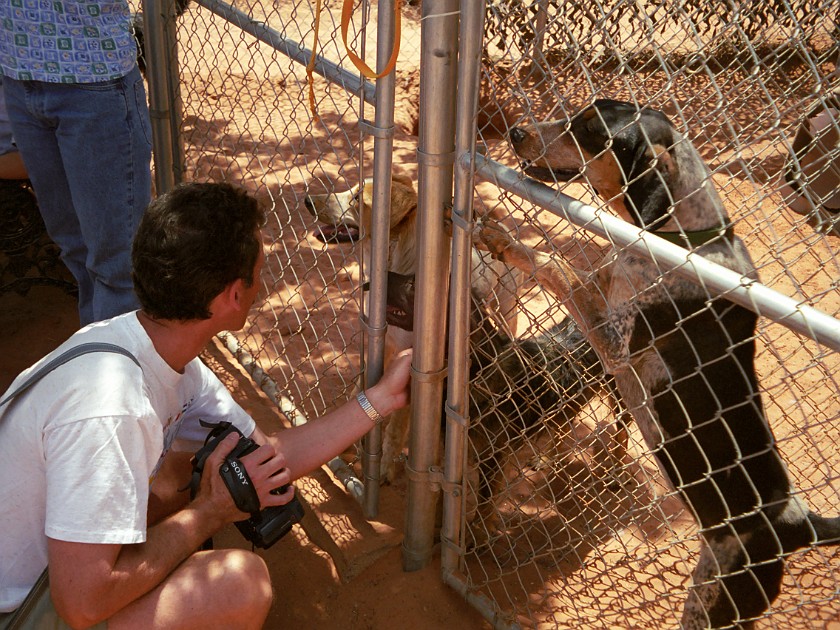 Best Friends Animal Sanctuary. Dog Cages. near Kanab. .