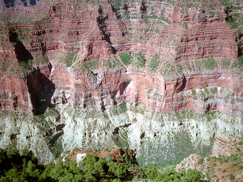 North Rim of the Grand Canyon. Canyon. Grand Canyon National Park. .