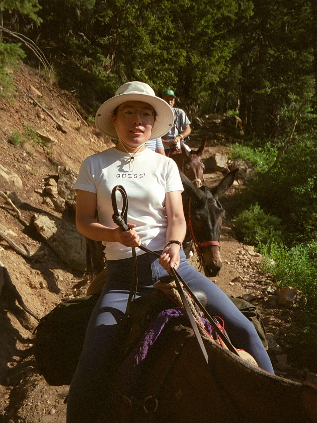 North Rim of the Grand Canyon. Mule Tour Into the Canyon. Grand Canyon National Park. .