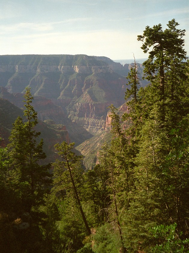 North Rim of the Grand Canyon. Mule Tour Into the Canyon. Grand Canyon National Park. .
