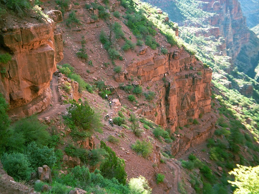 North Rim of the Grand Canyon. Mule Tour Into the Canyon. Grand Canyon National Park. .
