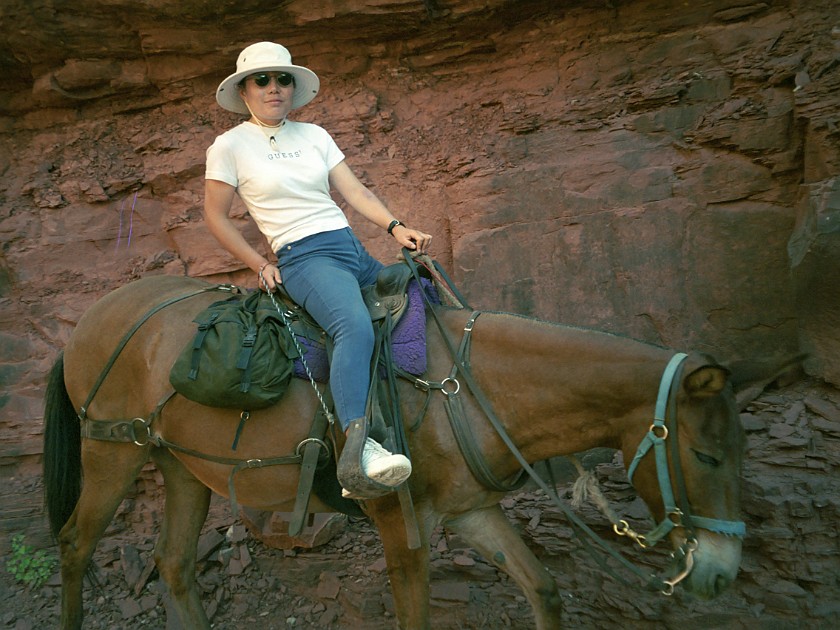North Rim of the Grand Canyon. Mule Tour Into the Canyon. Grand Canyon National Park. .