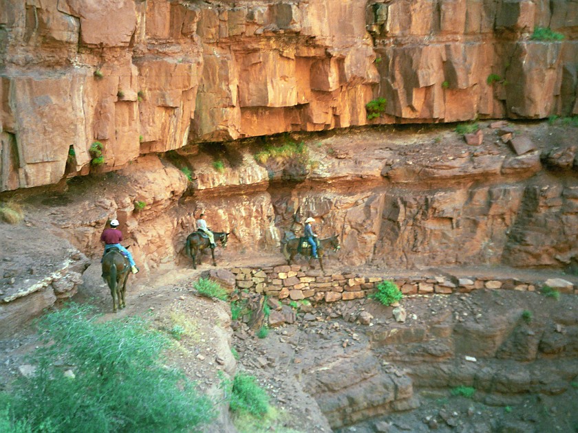 North Rim of the Grand Canyon. Mule Tour Into the Canyon. Grand Canyon National Park. .