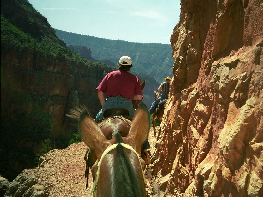 North Rim of the Grand Canyon. Mule Tour Into the Canyon. Grand Canyon National Park. .