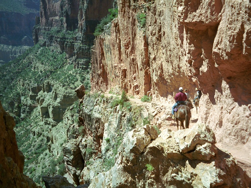 North Rim of the Grand Canyon. Mule Tour Into the Canyon. Grand Canyon National Park. .
