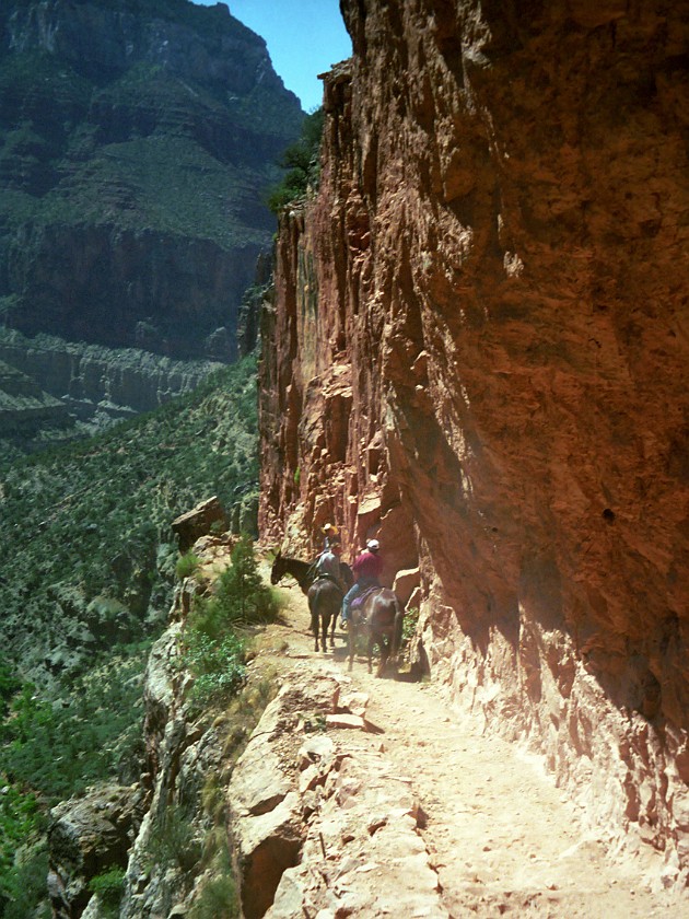 North Rim of the Grand Canyon. Mule Tour Into the Canyon. Grand Canyon National Park. .