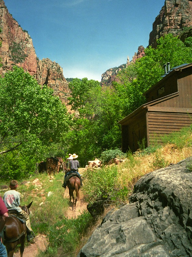North Rim of the Grand Canyon. Mule Tour Into the Canyon. Grand Canyon National Park. .