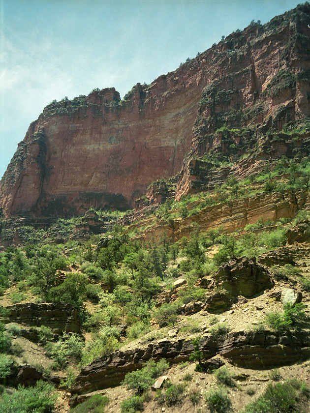 North Rim of the Grand Canyon. Mule Tour Into the Canyon. Grand Canyon National Park. .