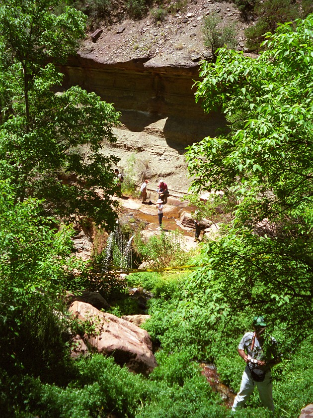 North Rim of the Grand Canyon. Mule Tour Into the Canyon. Grand Canyon National Park. .