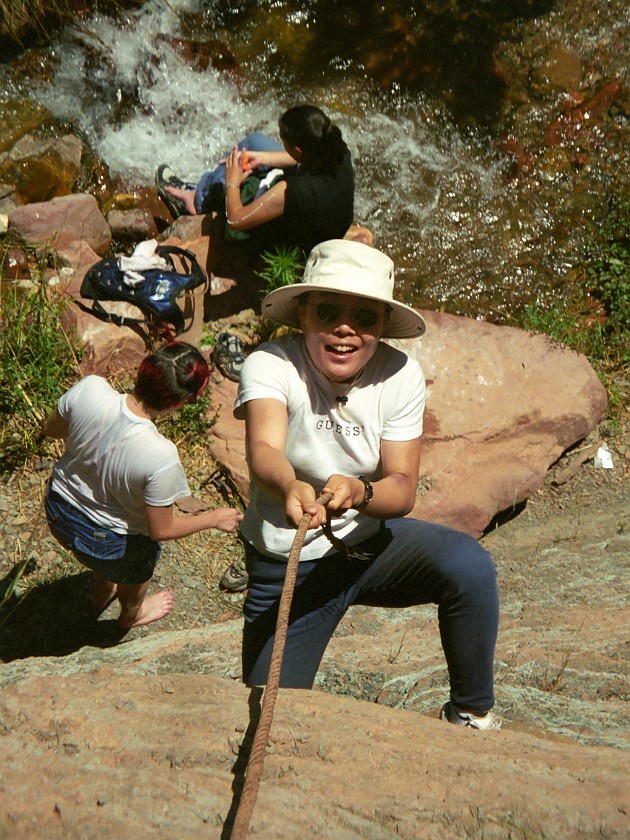 North Rim of the Grand Canyon. Mule Tour Into the Canyon. Grand Canyon National Park. .