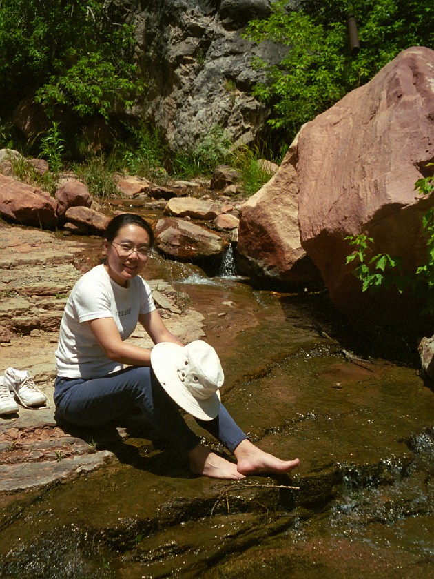 North Rim of the Grand Canyon. Mule Tour Into the Canyon. Grand Canyon National Park. .