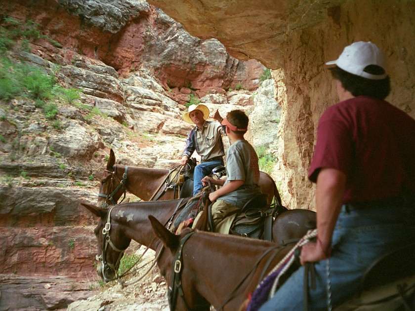 North Rim of the Grand Canyon. Mule Tour Into the Canyon. Grand Canyon National Park. .