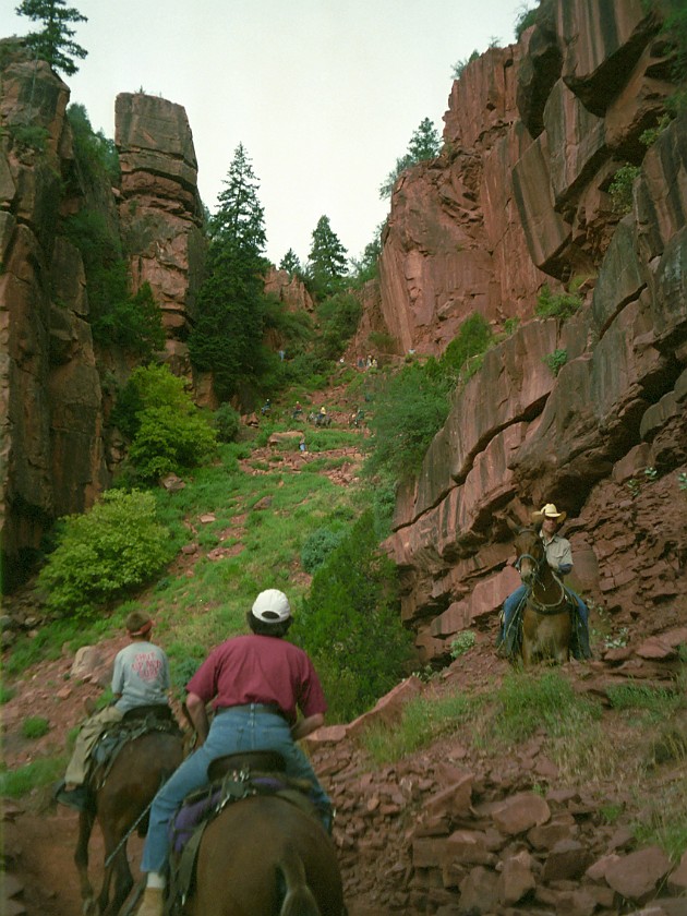 North Rim of the Grand Canyon. Mule Tour Into the Canyon. Grand Canyon National Park. .