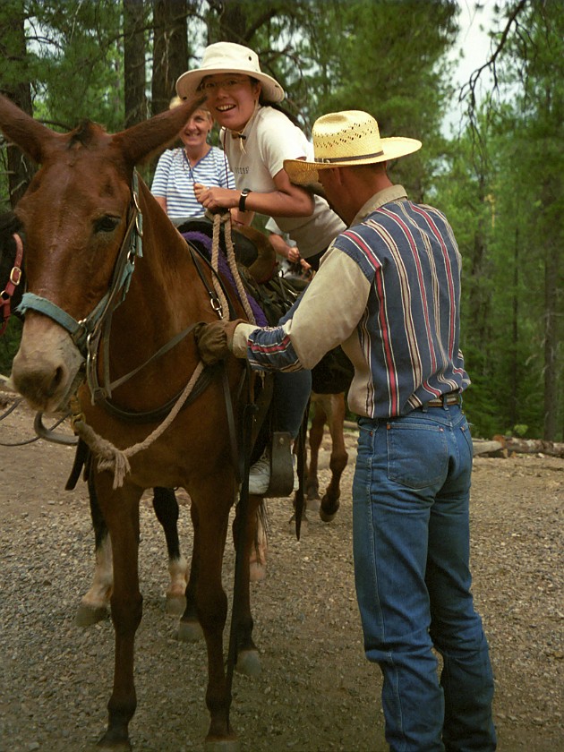 North Rim of the Grand Canyon. Mule Tour Into the Canyon. Grand Canyon National Park. .