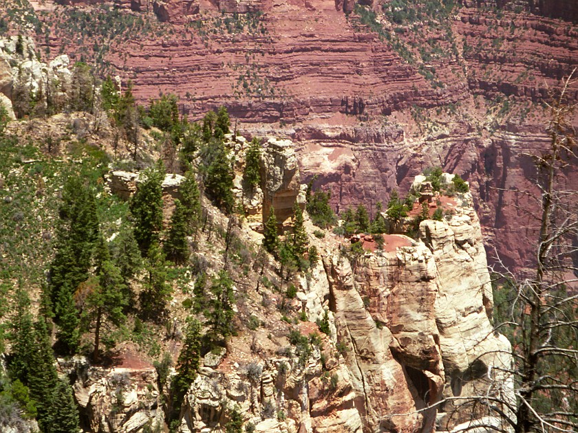 North Rim of the Grand Canyon. Canyon. Grand Canyon National Park. .
