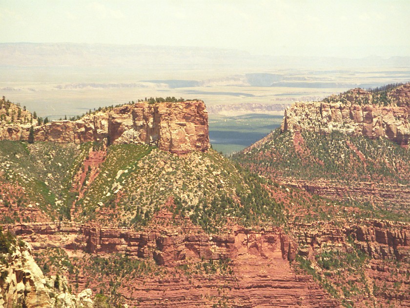 North Rim of the Grand Canyon. Canyon. Grand Canyon National Park. .