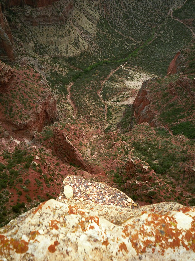 North Rim of the Grand Canyon. View Inside the Canyon. Grand Canyon National Park. .