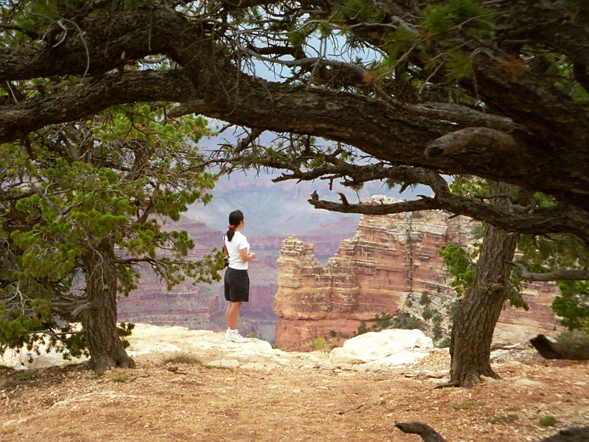 North Rim of the Grand Canyon. Portrait with Canyon. Grand Canyon National Park. .