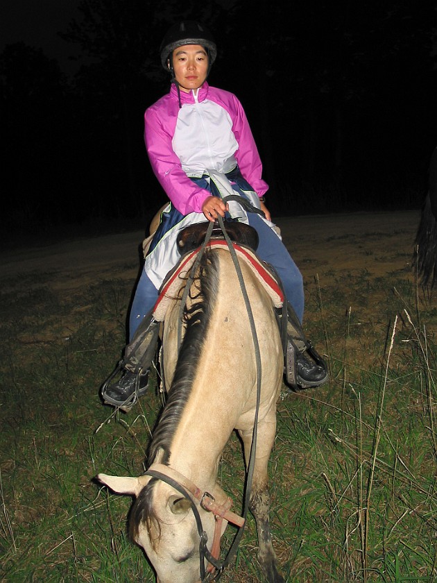 Horseback Riding. Horseback Riding. near Fayetteville. .