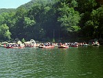 WVIR016
